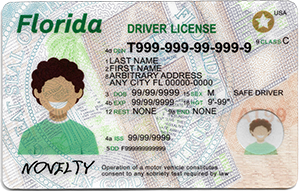 New Florida ID